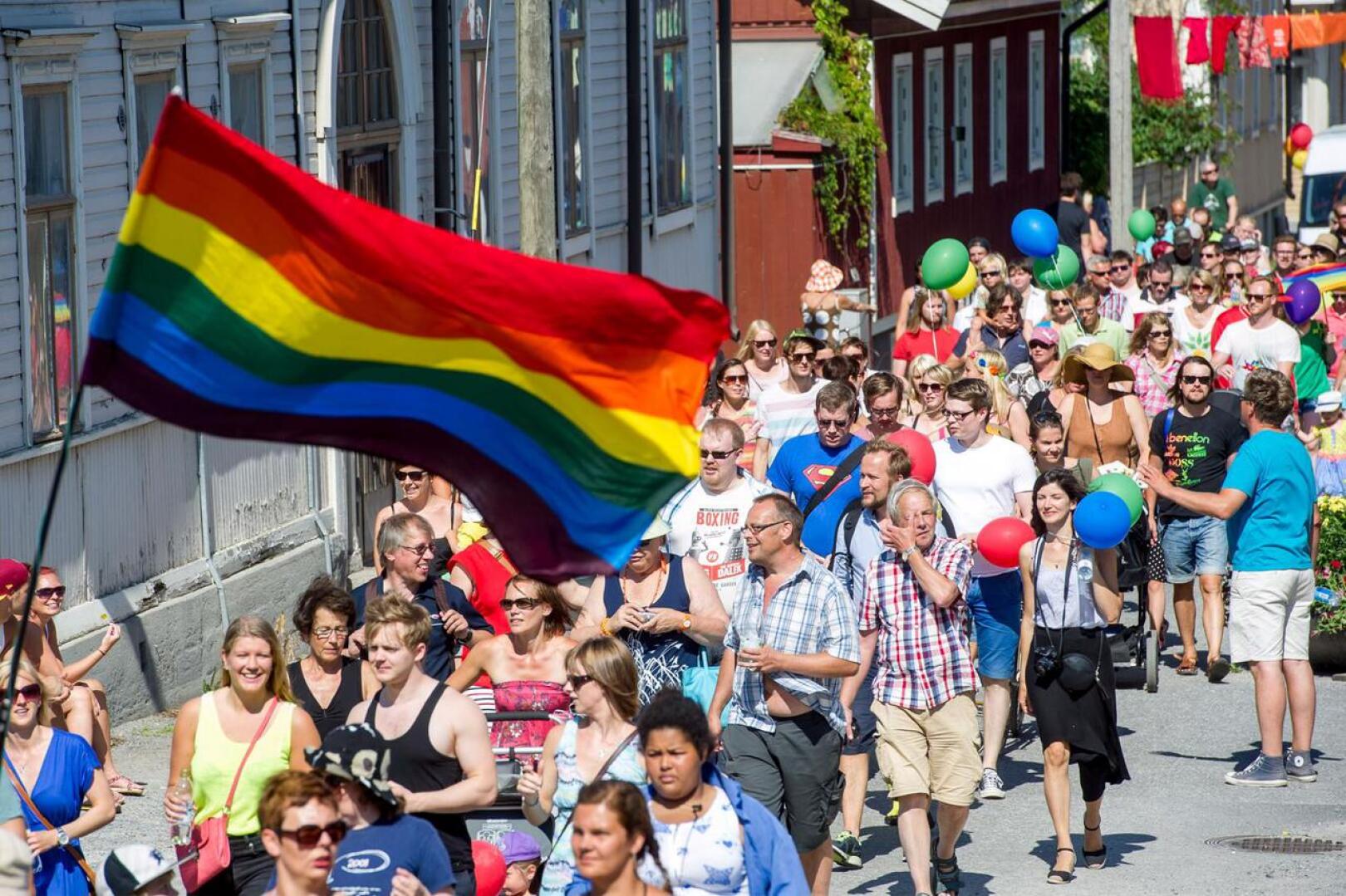 Jeppis Pride järjestettiin Pietarsaaressa heinäkuussa 2014. 