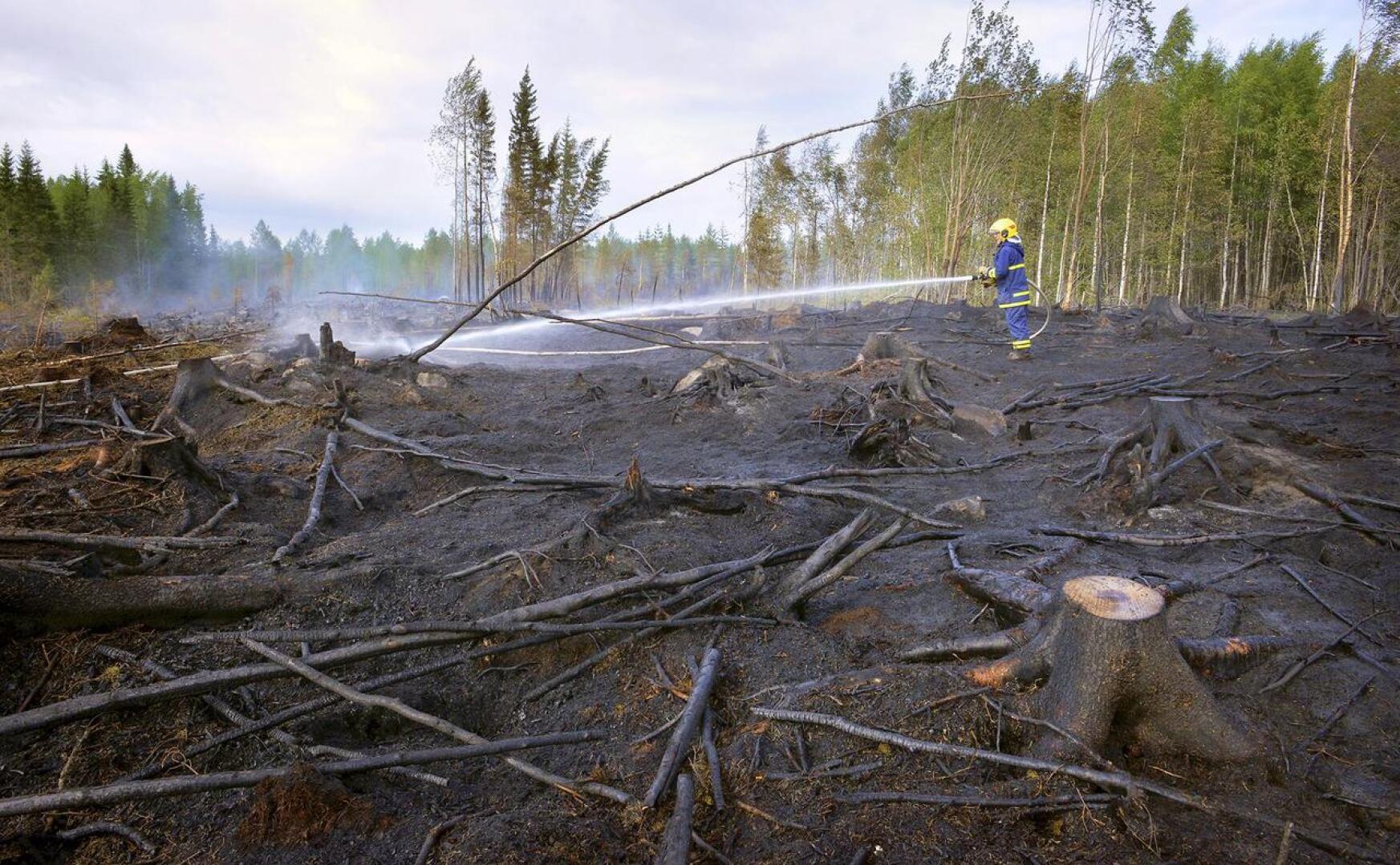 Toholammin metsäpalon sammutustyöt ovat jälkisammutusvaiheessa.
