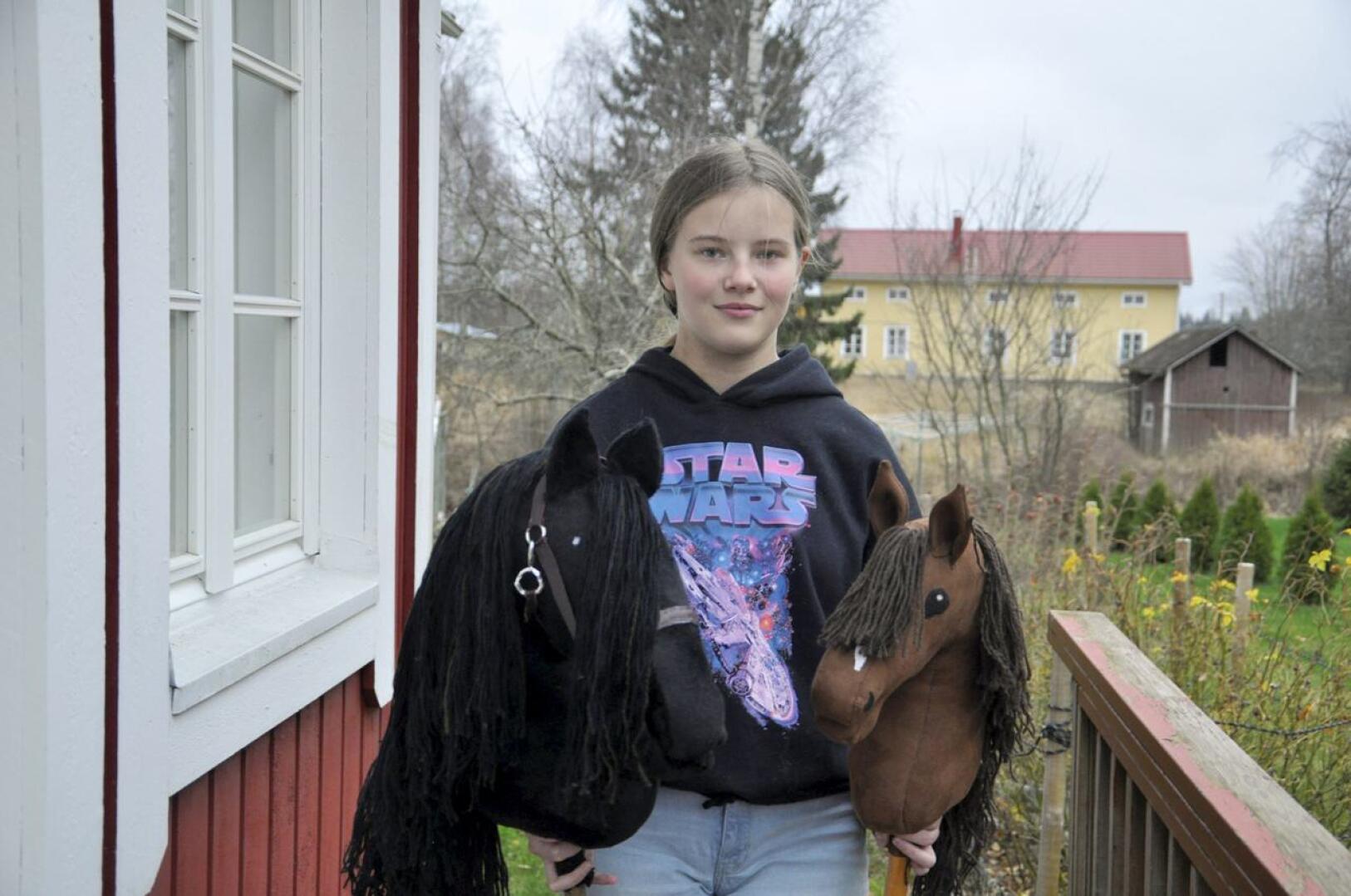 Onnea! Eliisa Rahkolan uusin keppihevonen on musta friisiläistamma Usva (vasemmalla) ja yksi vanhemmista islanninhevosori Strokkyr (oikealla).