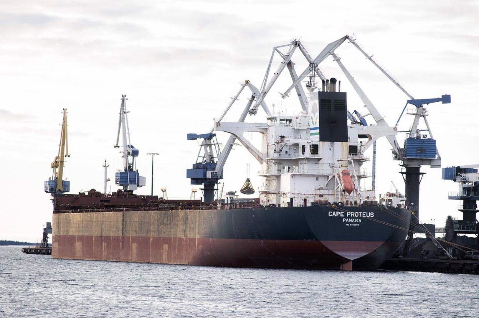 Cape Proteus on suurin Suomeen tänä vuonna saapunut laiva. Sitä lastattiin Kokkolassa aiemmin tällä viikolla.