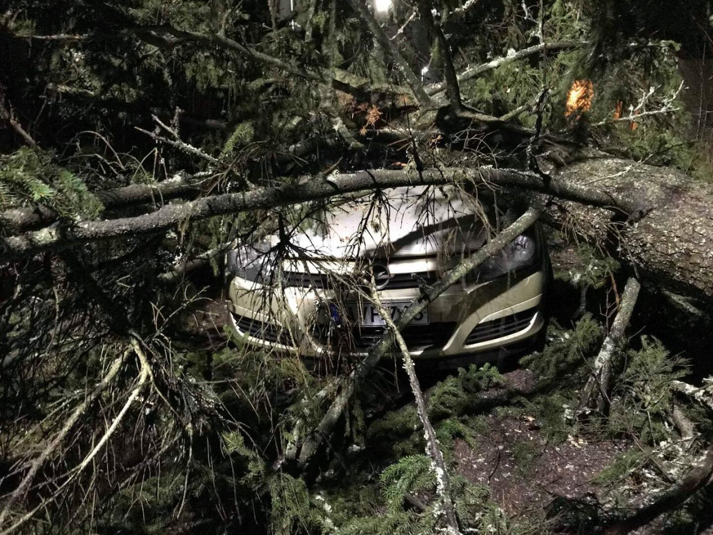 Kova tuuli kaatoi 10. päivä helmikuuta valtavan kuusen Varsinais-Suomen Kaarinassa asuvan perheen auton päälle. Perhe jäi ilman korvauksia, sillä autossa ei ollut kaskoa.