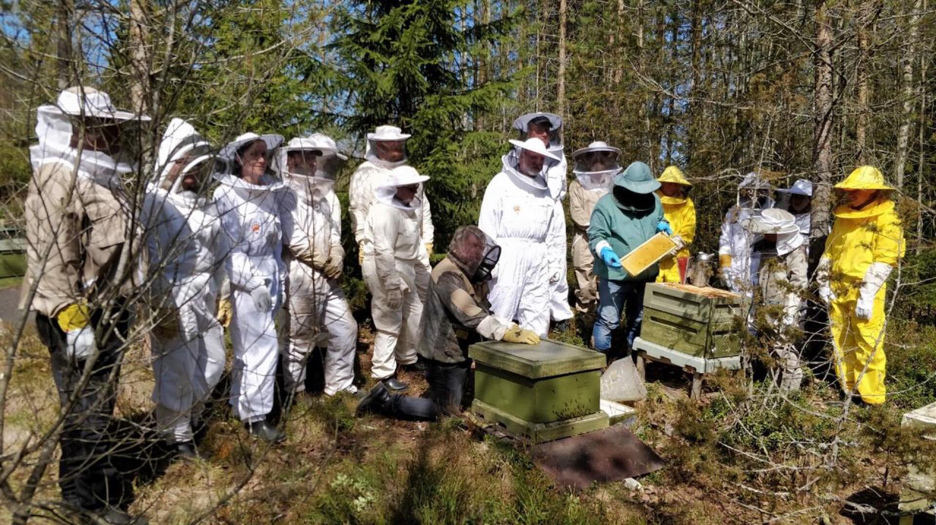 Mehiläishoitokurssilla Aappo Valo ja Timo Marjusaari opastivat pariakymmentä aiheesta kiinnostunutta kurssilaista.