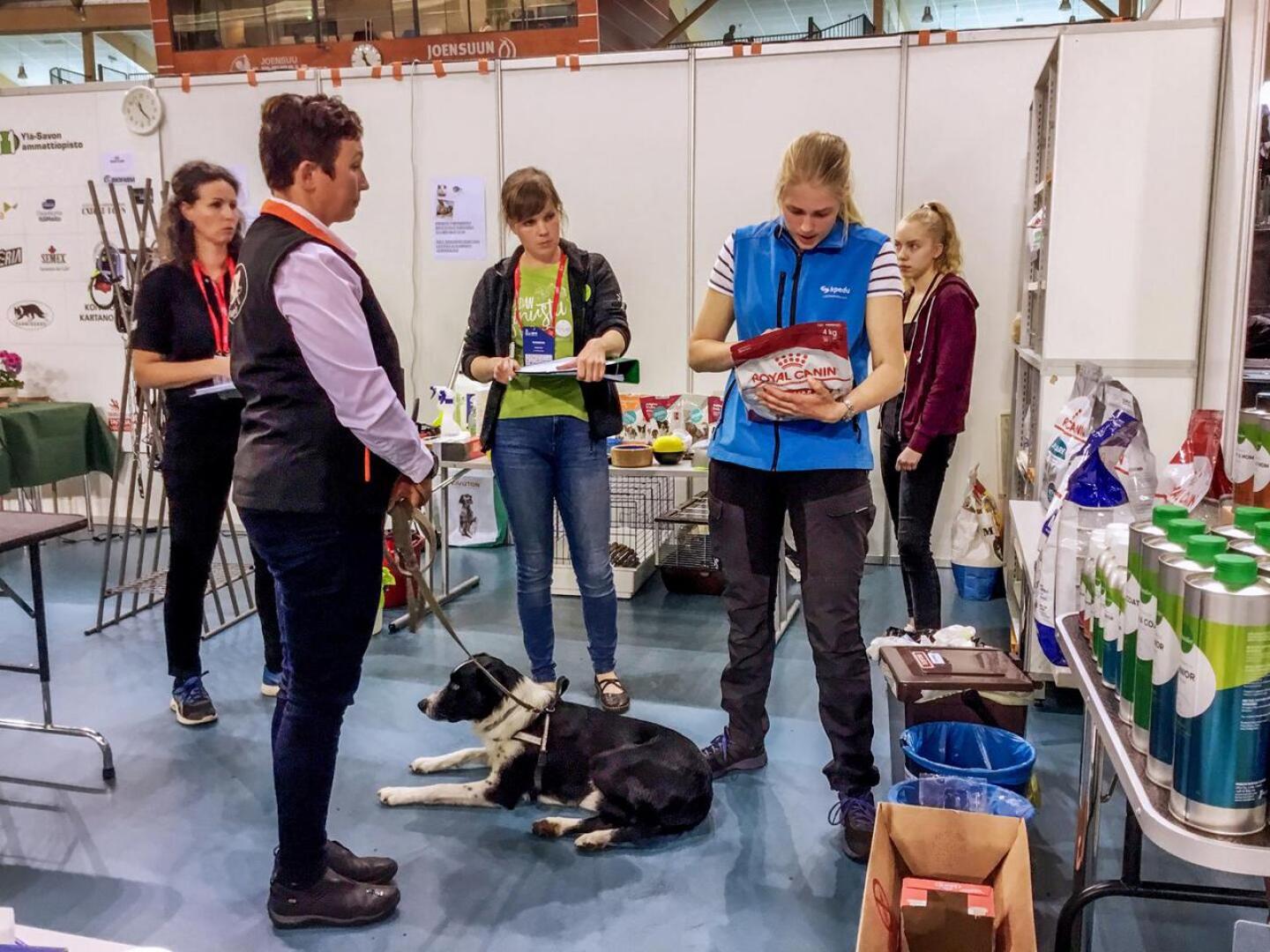 Kpedun opiskelija Pihla Pavas kilpailee eläintenhoidon suomenmestaruudesta. Tässä tehtävässä hän ottaa koiran vastaan hoitolaan, tekee sille terveystarkastuksen ja neuvoo omistajaa koiran ruokinnassa.