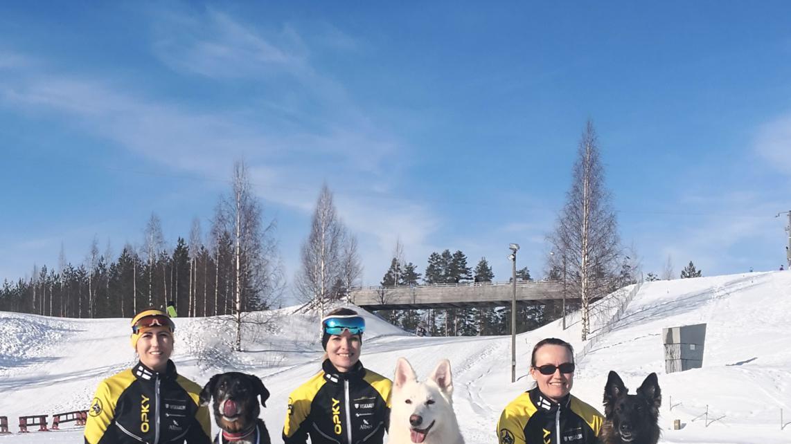 Netta Keret ja Weston yhdessä pronssia voittaneen Oulun Palveluskoirayhdistyksen viestijoukkueen kanssa poseeraamassa Pärnävaaralla 2022.