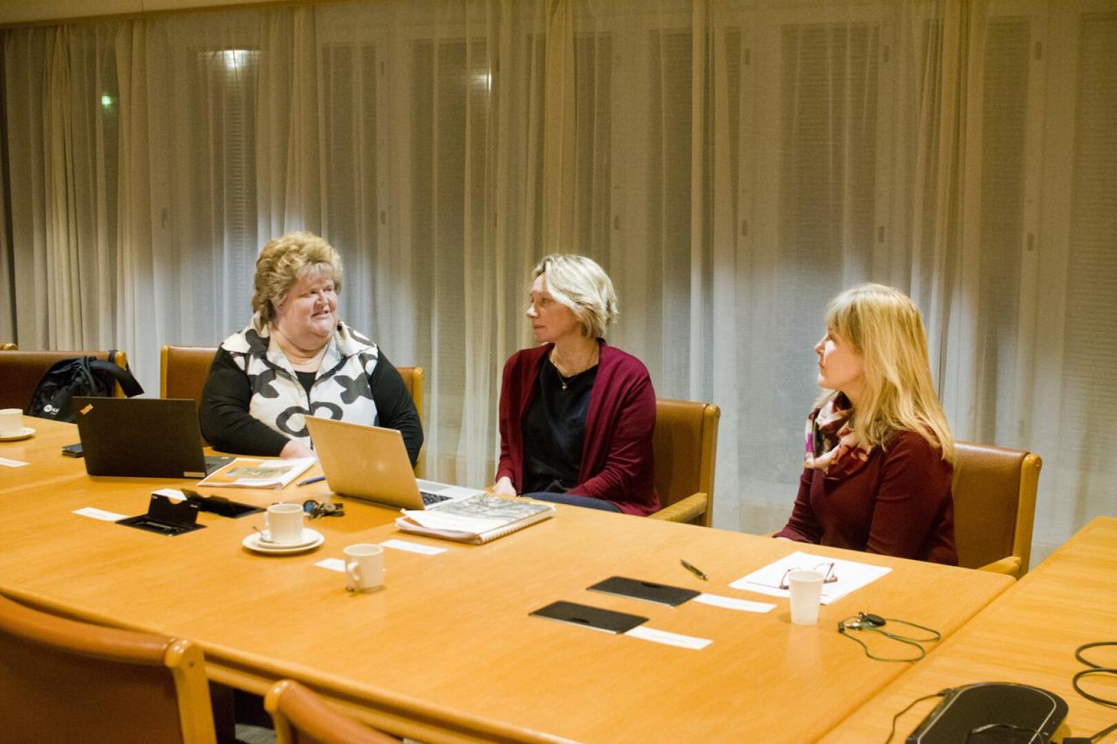 Eija-Riitta Niinikoski (vas.), Päivi Karikumpu ja Ulla Alin esittelivät talousarviota ja -suunnitelmaa.