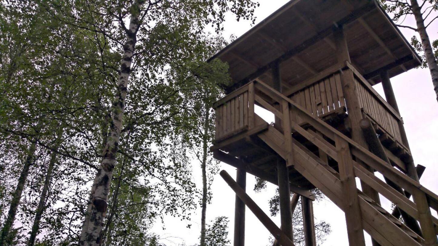 Vähä-Valvatin lintutorni sijaitsee kilometrin päässä Valvatin autiotuvasta. Lintutornilla on hienot näkymät kuivatetulle järvelle. 