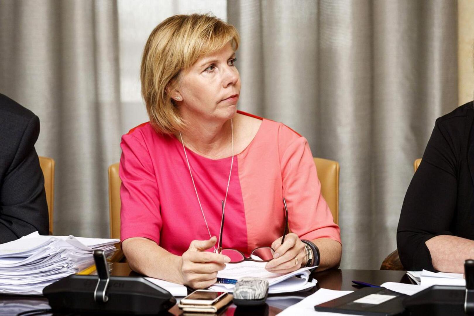 Valiokunnan jäsen, RKP:n puheenjohtaja Anna-Maja Henriksson totesi, että kokoushuoneessa olivat käytössä kaikki mahdolliset aivosolut.