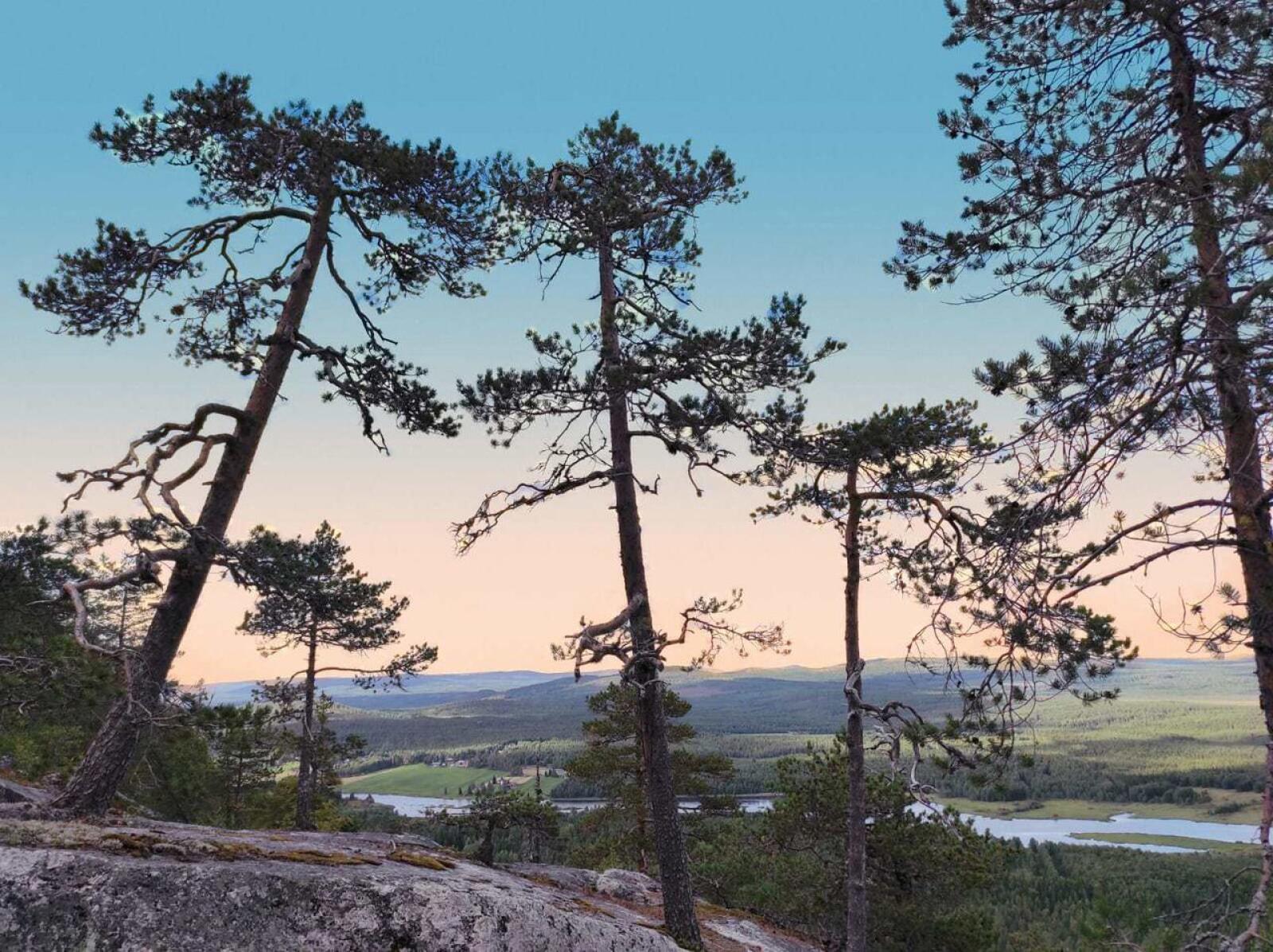 Aavasaksan ja Tornionjokilaakson maisemat ovat Suomen kansallismaisemia.