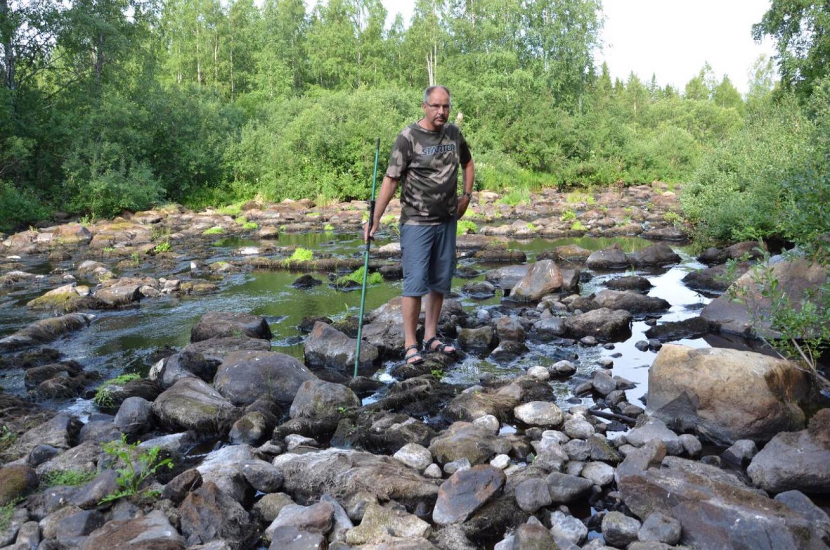 Kuivuus on laskenut Perhonjoen vedenpintaa. Perholainen Reijo Uskoski seisoo kuivuneessa koskipaikassa Perhon Kivikankaalla.