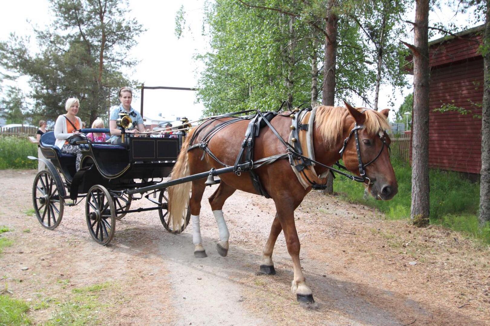 Talonpoikaismuseo Katvalan alueella järjestettävä kotieläinpiha on yksi Kapinaviikon suurimmista vetonauloista. Viime vuonna kävijöitä oli jopa yli 7000, ja avajaispäivänä heille tarjottiin myös hevosajelua.