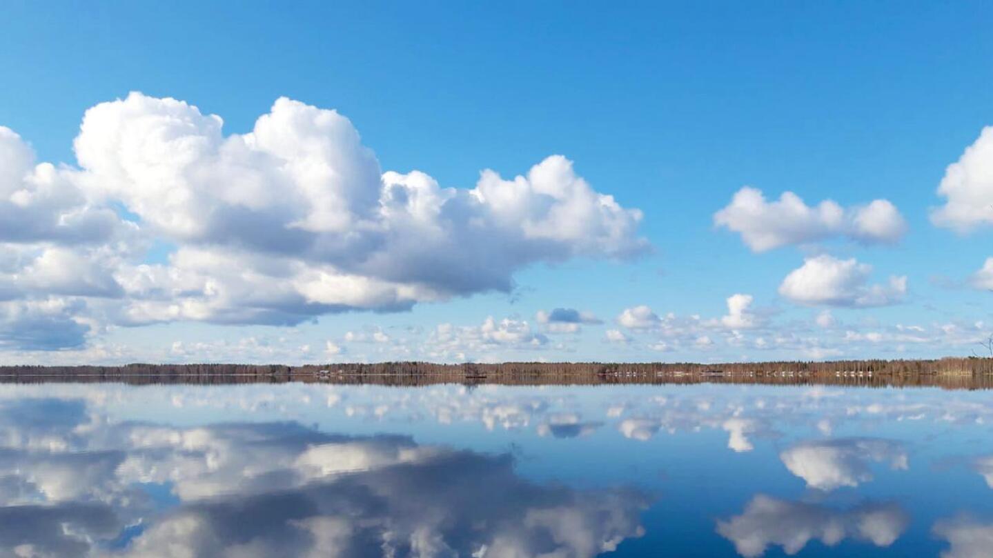 Halsuanjärvi on ollut pitkään sinilevävapaata aluetta.