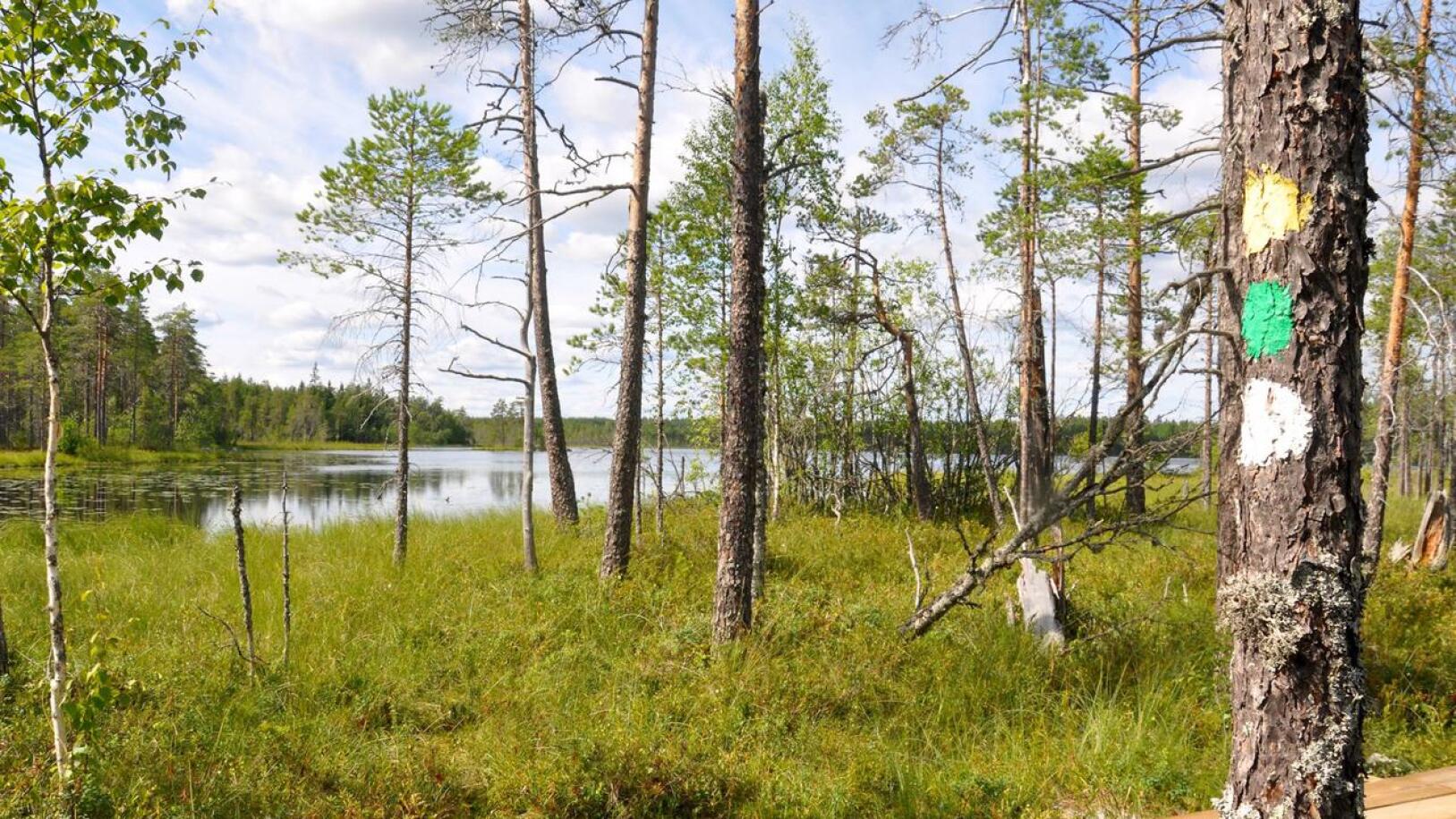 Metsähallituksen tiedotteessa luvataan, että pitkospuiden uusiminen Salamajärven kansallispuistossa jatkuu. Lisäksi puistossa tehdään kävijätutkimus. 