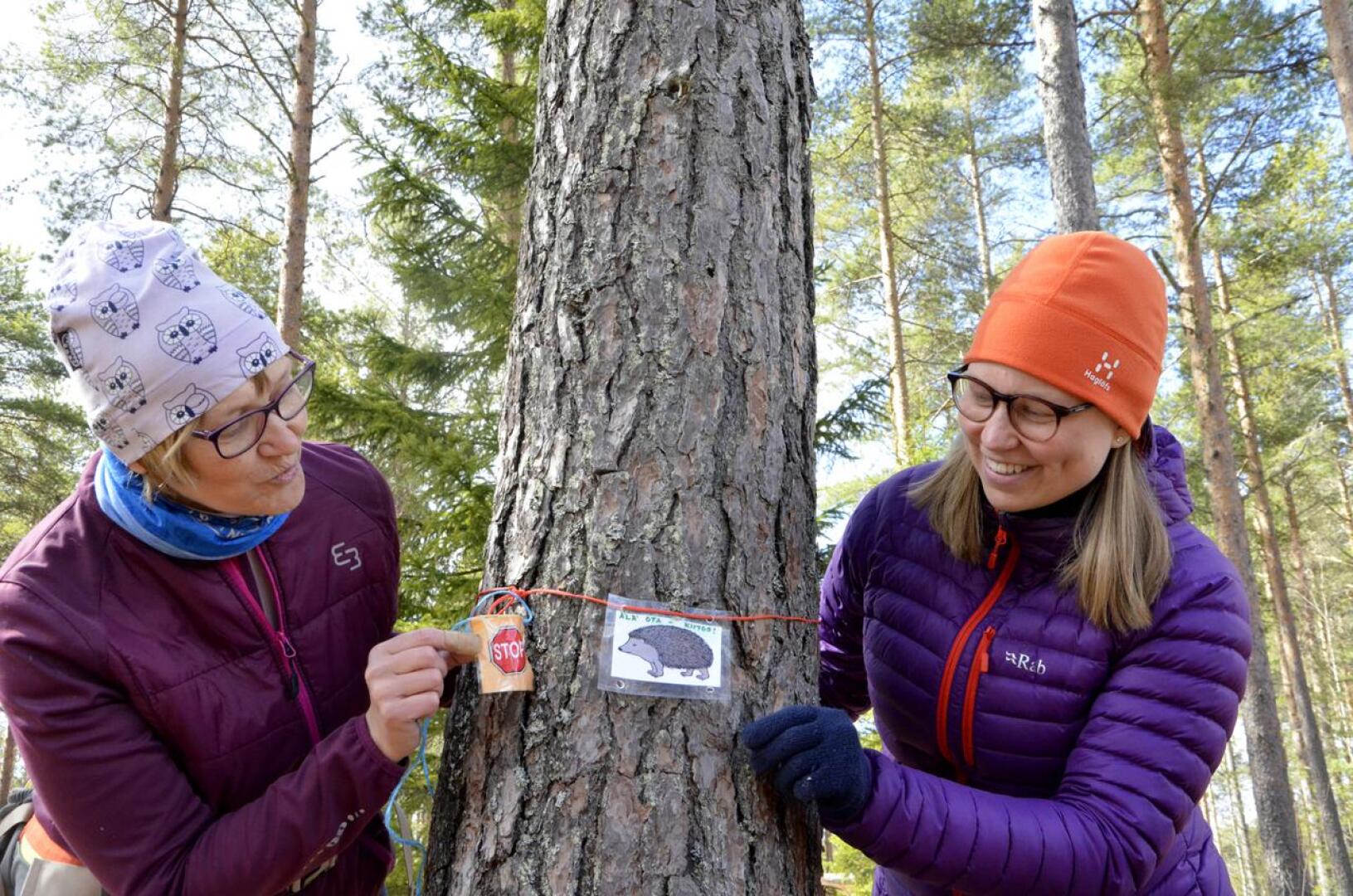 Varhaiskasvatuskerhojen lastenhoitaja Arja Nivala ja opettaja Jaana Kokkonen palauttivat pikaisesti eläinaiheiset opastelaput metsään kerhoa varten. He ehtivät poikkeusolojen alkaessa kerätä kerhokimpsut metsästä, kun olettivat, että kerhotoiminta jatkuu vasta syksyllä.