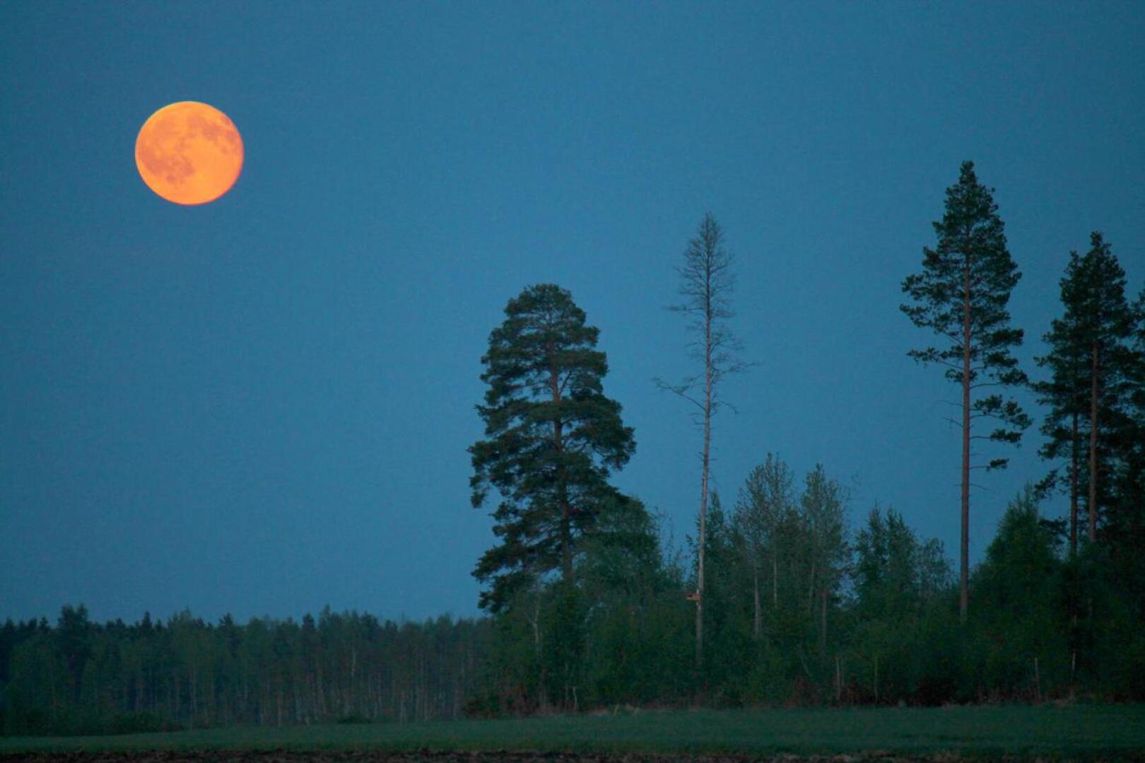 Punainen Kuu ja kuunpimennys nähdään tänään perjantai-iltana laajasti koko Suomessa kunhan sää pysyy selkeänä. Arkistokuva.