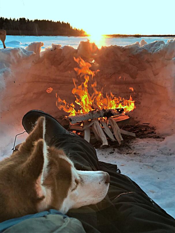 Vilja-koirakin, 5 v,  nauttii nuotion lämmöstä ja levon hetkestä yhdessä muun perheen kanssa pääsiäisretkellä Pietarsaaren saaristossa.