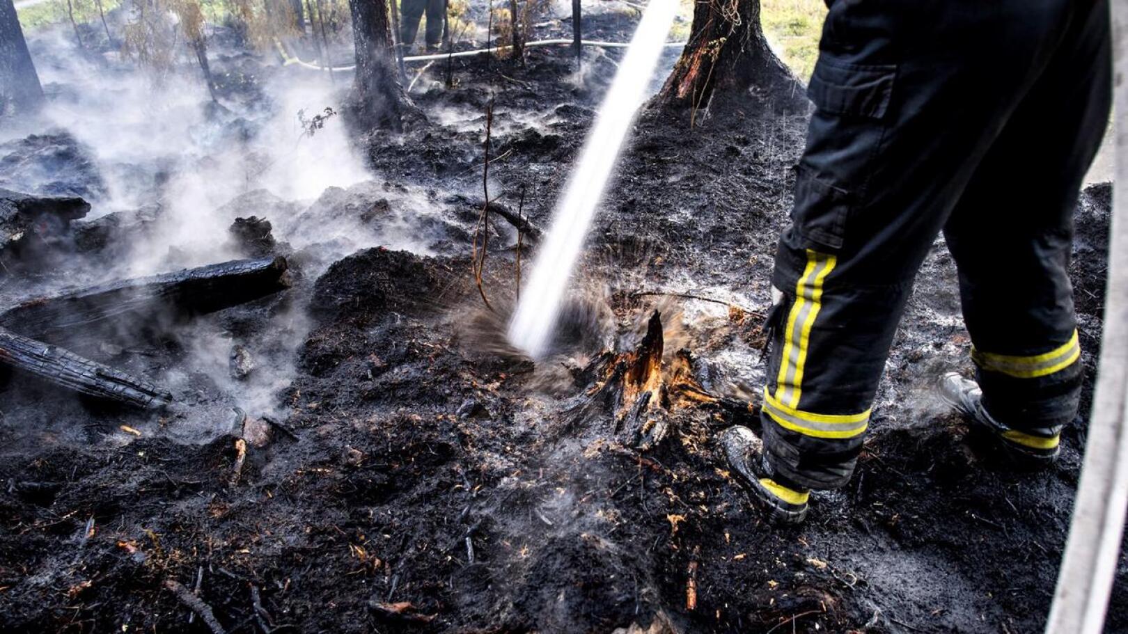 Salama sytytti pienen metsäpalon Lahnakoskella viime viikolla.
