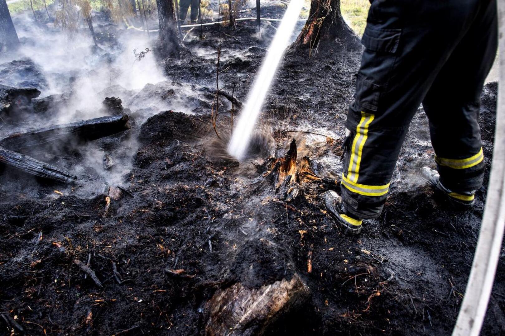 Salama sytytti pienen metsäpalon Lahnakoskella viime viikolla.