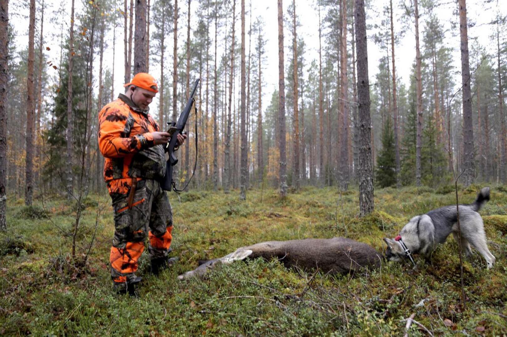 Antti-Jussi Hietaniemi kaatoi hirven vasan jahdin ensimmäisien tuntien aikana. 25-vuotias Hietaniemi on kulkenut metsällä pienestä pitäen ja lähes joka syksy hän on onnistunut ampumaan hirven. Kaadettua hirveä haukkui Ansa-koira, jolle kaato oli ensimmäinen.