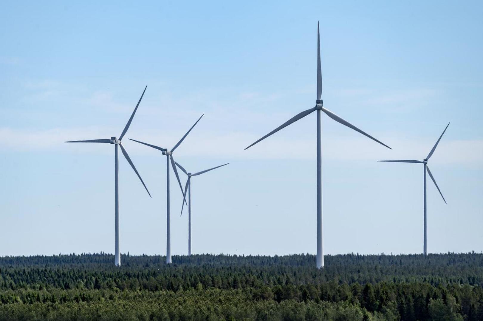 Google ostaa tulevaisuudessa sähköä Kalajoelta, Kannuksesta ja Kokkolasta. Mutkalammin tuulivoimapuiston rakennustöiden suunnitellaan käynnistyvän alkuvuodesta 2021 ja suunniteltu käyttöönotto tapahtuu seuraavan vuoden lopussa. Kuvassa tuulivoimaloita Kalajoella. 