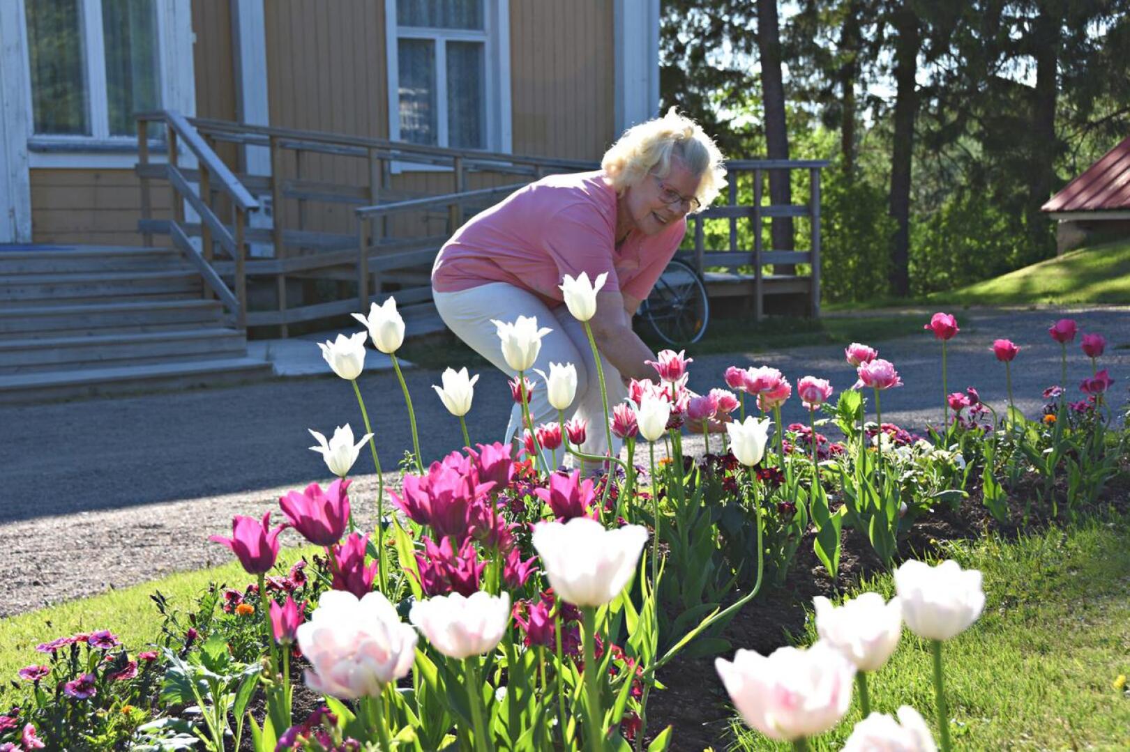 Leena Ruuska seurustelee rakkaiden kukkapenkin lapsostensa kanssa. Kesä on nyt Juhannuksen alla mehukkaimmassa kukassaan Paakkilan pihassa.