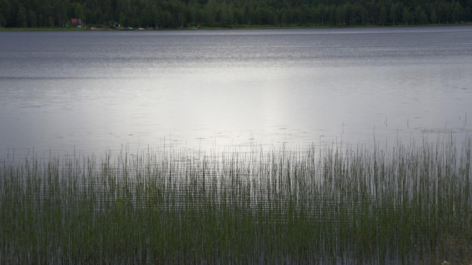 Vatjusjärven selkä on sateisella säällä kuin impressionistinen maalaus.