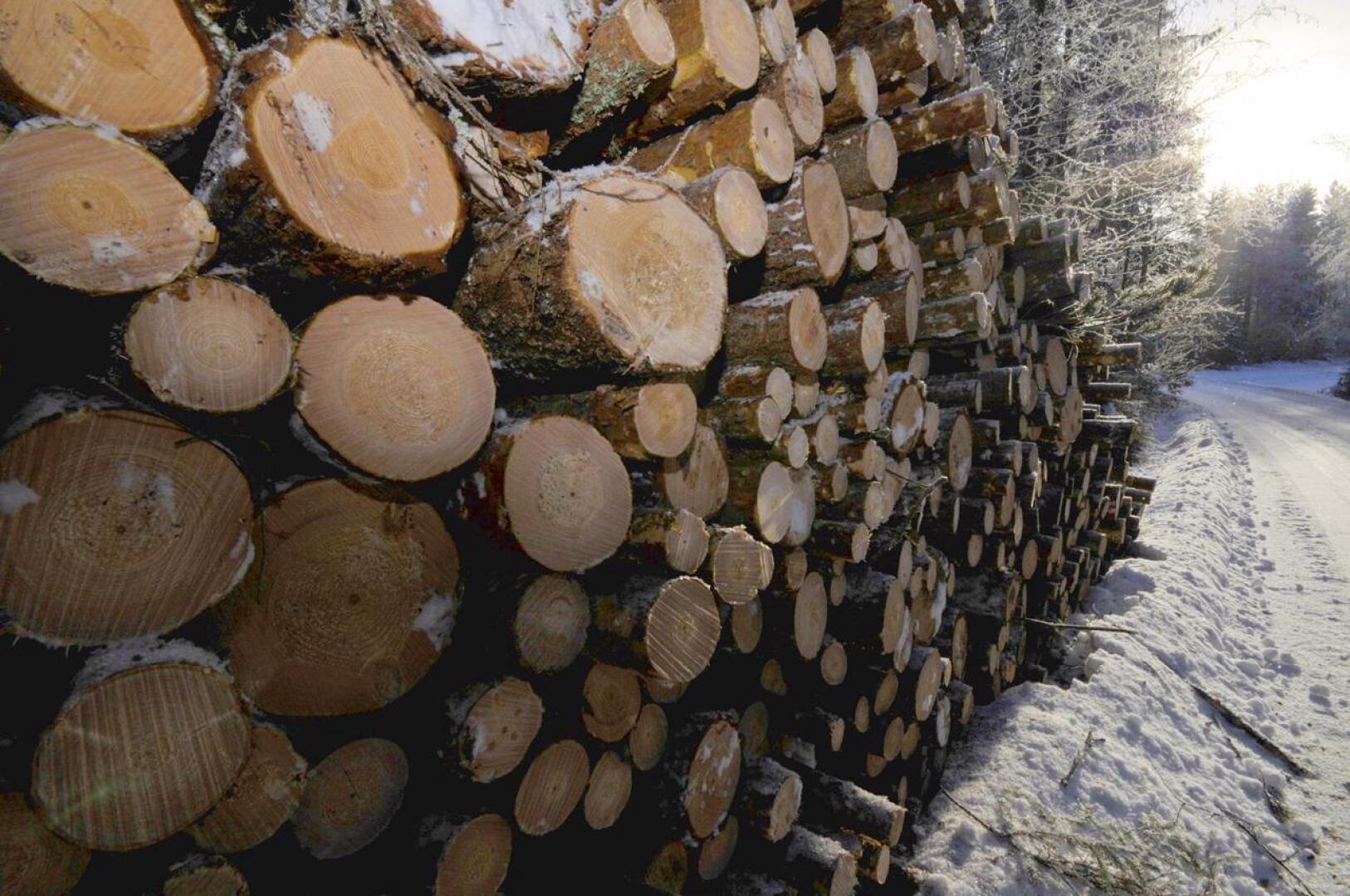 Pohjois-Pohjanmaalla puukauppa kävi alkuvuodesta viime vuoden tahtia. Kaupat tehtiin yheensä 979 000 kuutiosta.